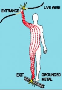 Electrical shock path visual for electrical safety awareness training