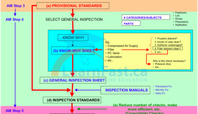 Development of standards during Steps 4-5